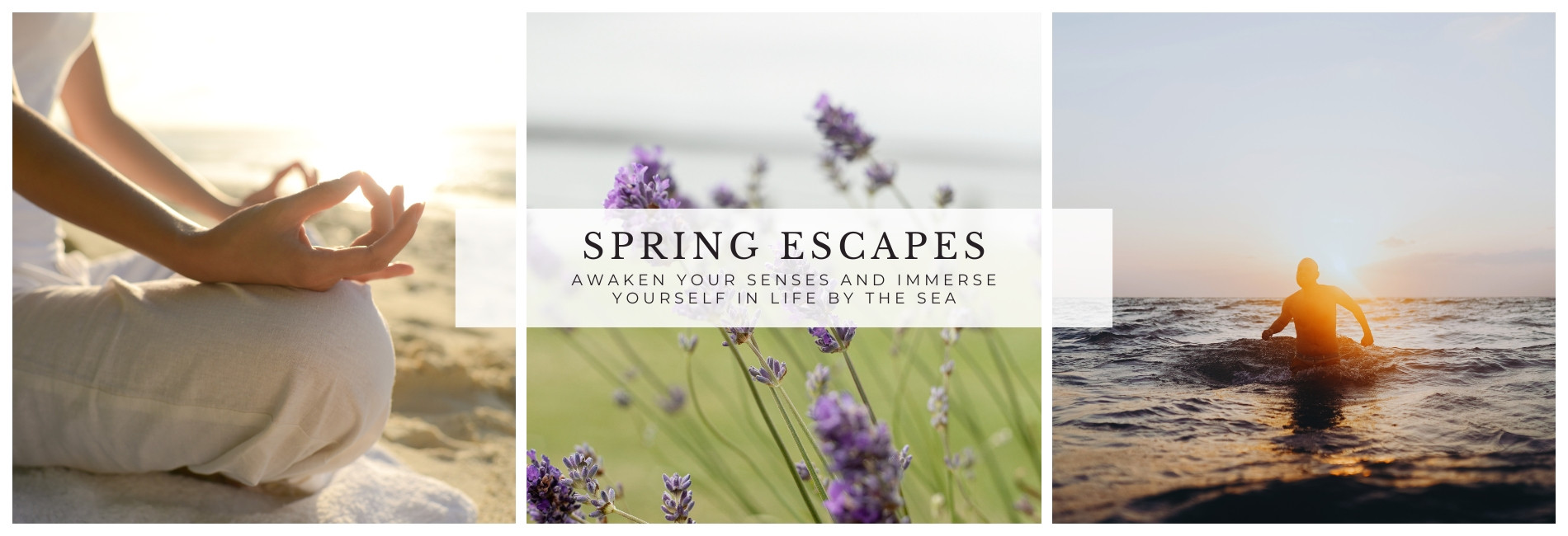 Spring escapes banner xpx www.armadahotel.com_v2